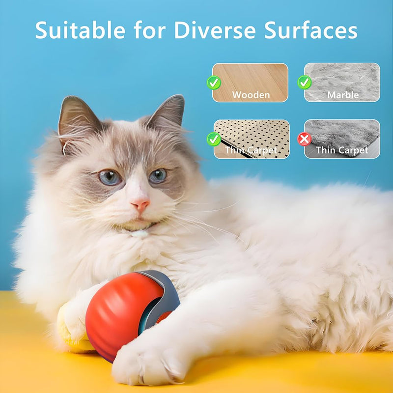 Automatic Cat Ball Toy with 2 Feather Tails - Rechargeable Interactive Cat Toys, 2-Speed Motion Activated Roller for Indoor Cats to Relieve Boredom (Small/Medium/Large Cats) (Orange) Orange - PawsPlanet Australia
