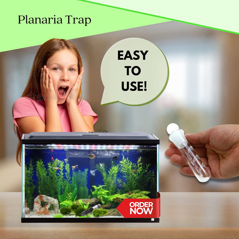 Planaria Trap Crystal Red Shrimp Tank Aquarium Bristle Worm Catcher, Shrimp Dwarf Shrimp Ghost Shrimp Live Freshwater Cleaning Supplies Clear Glass Leeches Catching Tube (3 Holes) - PawsPlanet Australia