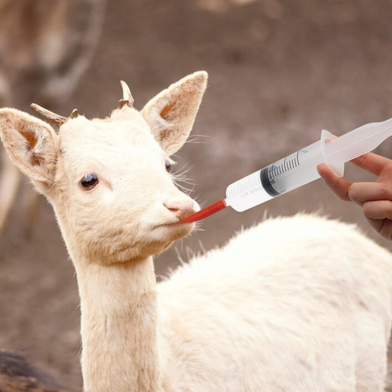 Lamb and Goat Kid Feeding Kit 2-Tube (16 FR), 1-Syringe 60ml Reusable Drench Goat Syringe for Lamb, Dog, Sheep,Piglet,Rabbit Feeding (16''L Red Tube) - PawsPlanet Australia