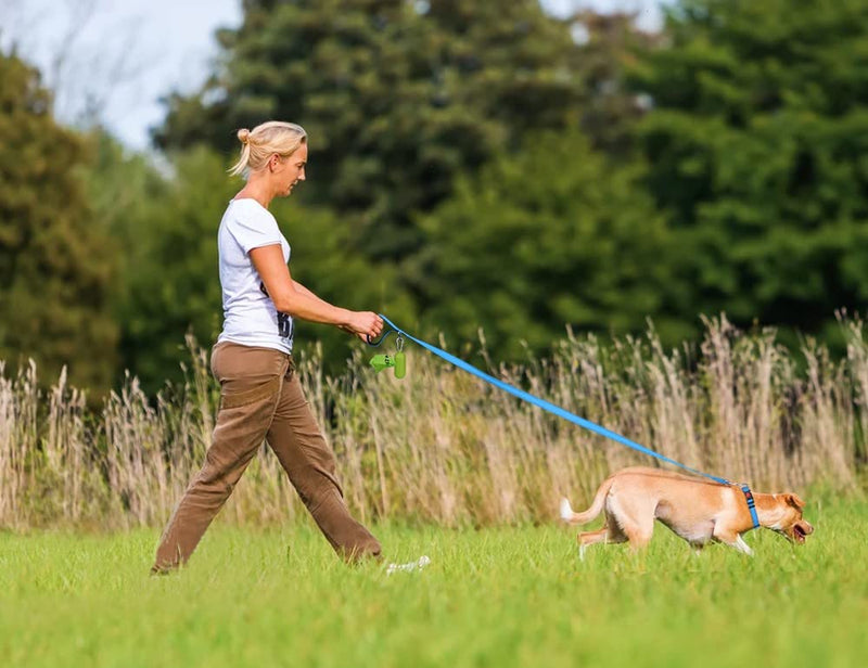 Taglory Dog Leash for Small Dogs | Double-Sided Reflective | Soft Neoprene Padded Handle | 3/4 inch by 5ft | Fit Small Medium Large Breeds Dogs Under 20lbs | Sky Blue 3/4 in x 5 ft (Pack of 1) - PawsPlanet Australia