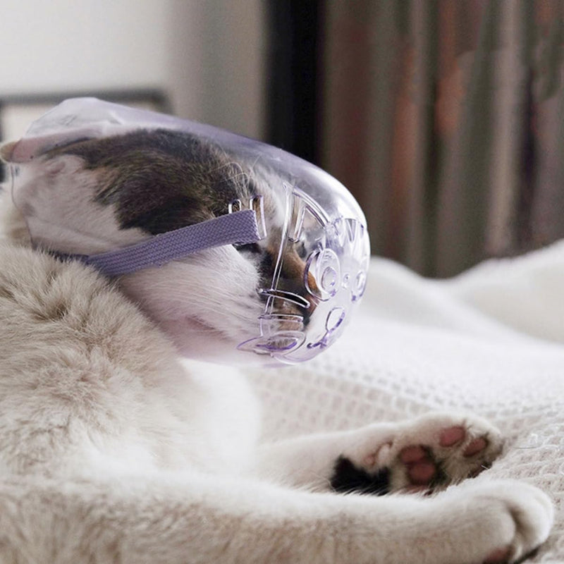 Reusable compact pet muzzle for kittens made of polypropylene. Easy to put on. Protects against bites during feeding and bathing.