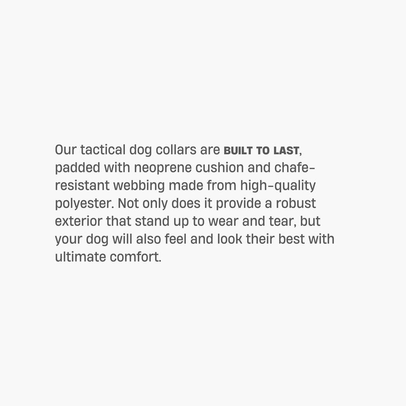 DF Co. Tactical Dog Collar | Comfortable & Secure with Quick Release Clip Buckle and Heavy Duty D-Ring | Soft Padded Neoprene, Chafe Resistant, Night-Time Visibility | Pink Camo, Size M Medium - PawsPlanet Australia