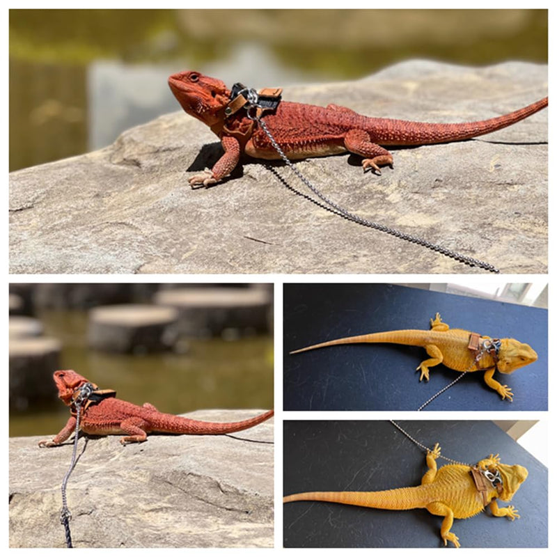 Bearded Dragon Harness and Leash Adjustable(M,L,XL) - Soft Leather Reptile Lizard Leash Accessories for Bearded Dragon, Lizard and Other Small Pets (XL) XL - PawsPlanet Australia