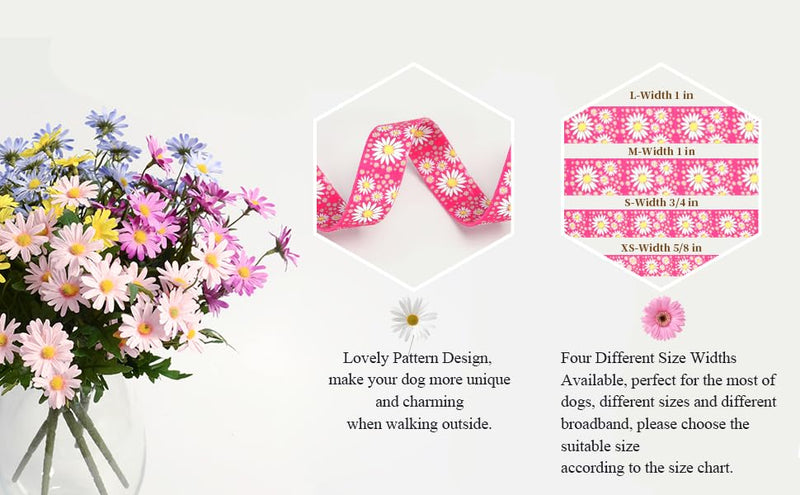 Martingale Collar for Dogs, Adjustable Soft Nylon Dog Collars with Design Cute Daisy Design Patterns for Small Medium Large Dog (Purple, Medium) Purple - PawsPlanet Australia