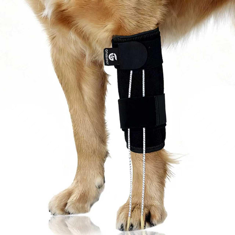 Dog Front Leg Support Brace for Foot Drop, Canine Knuckling Prevention, Toe Dragging Assistance L