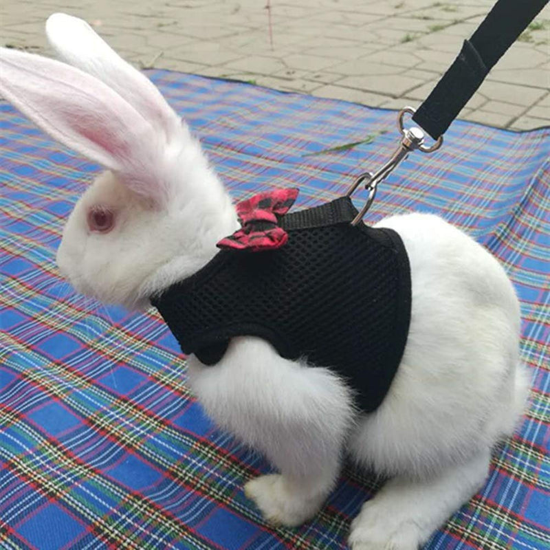 Rabbit Harness with Leash Adjustable Soft Mesh Vest Harness for Bunny Kitten Guinea Pig Rat (L, Black) L - PawsPlanet Australia