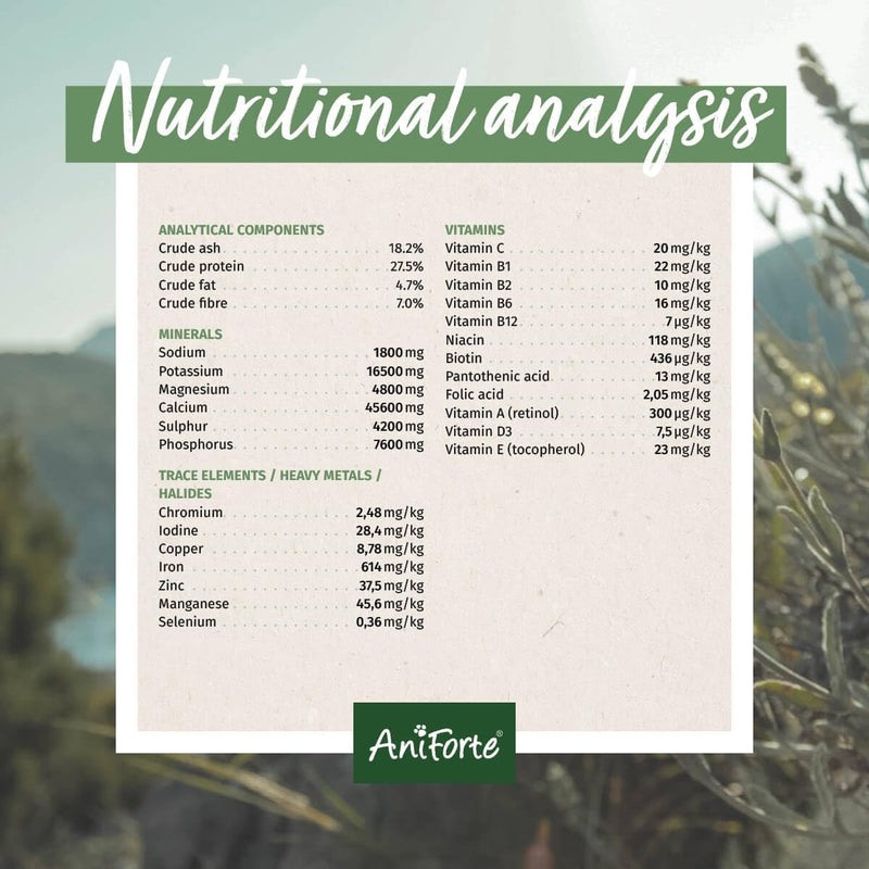 AniForte BARF Complete 1kg for Dogs - 100% Natural Barf Supplement with Minerals, Vitamins & Herbs - Premium Quality, Rich in Calcium & Ideal as Daily All-Round Care for Raw Food Diets - PawsPlanet Australia