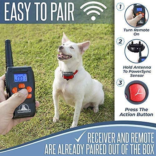Pet Union PT0Z1 Premium Training Shock Collar for Dogs with Remote - Fully Waterproof, 4 Adjustable Training Modes - Shock, Vibration, Beep - Up to 1200ft Range Red - PawsPlanet Australia
