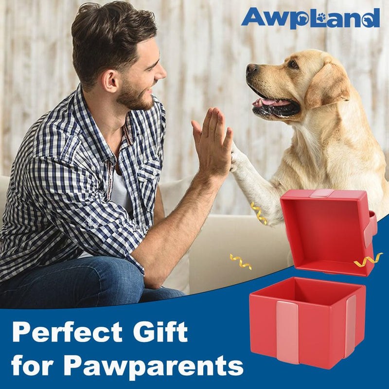 Memorial Bottle Keychain for Dog Hair, Transparent Pet Hair Keepsake Storage Bottle with Chain and Hair Pickup, Dog Memorial Urn for Owner (Golden Retriever) - PawsPlanet Australia