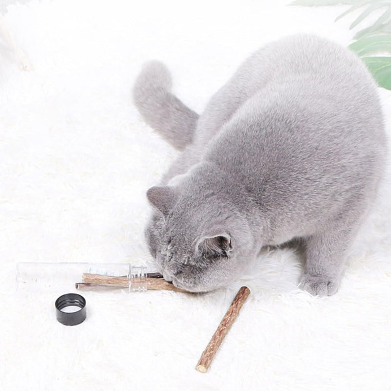 Dental Sticks for Cats and Dogs, 5 pieces, with catnip and bottle. Suitable for kittens and dogs for teeth cleaning and chewing.