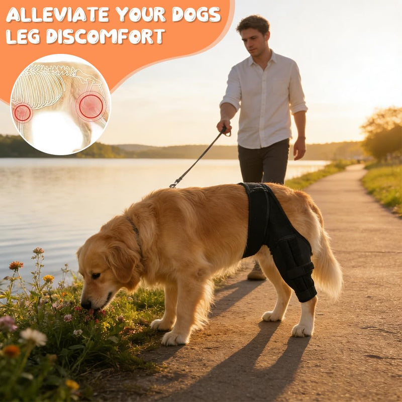 Dog Knee Brace for Hind Leg, Dog Leg Protectors, Dog Knee Brace for Cruciate Ligament, Dog Leg Brace for Wound Injury and Sprain Healing of Arthritis for Torn ACL Front Leg