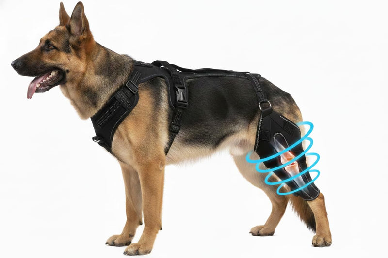Dog Ligament Brace Support for ACL Injury Torn Recovery, Pet Adjustable Neoprene Dog Leg Support Sleeve, Pet Knee Joint Stabiliser for Cruciate ligament injury recovery, arthritis support. (M) M