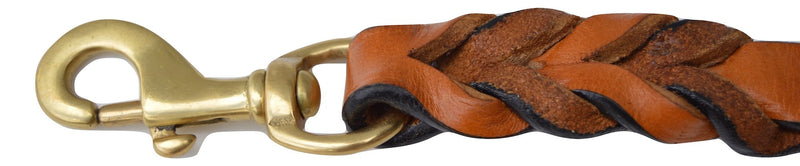 Leather Braided Dog Leash, Tan with Teal Padded Handle, 6ft x 3/4" Inch Wide, Made with Full Grain Genuine Leather - PawsPlanet Australia
