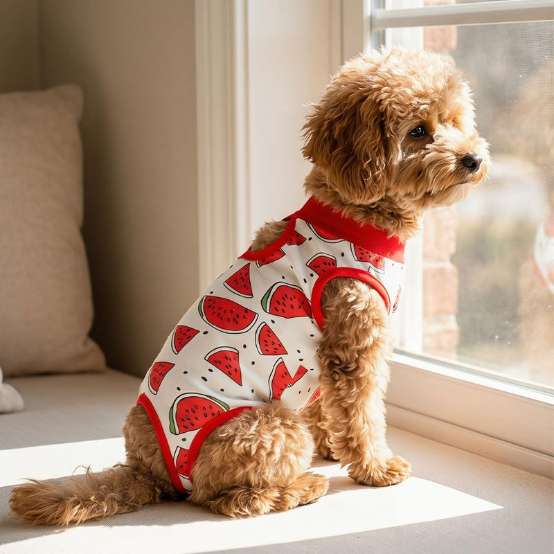 2-Pack Pet Post-Surgery Recovery Suit for Cats Dogs, Abdominal Wound Protector Anti-Licking, Soft Breathable Onesie with Adjustable Fit, Small Pets Universal Tee(Medium, Watermelon,Football) Medium