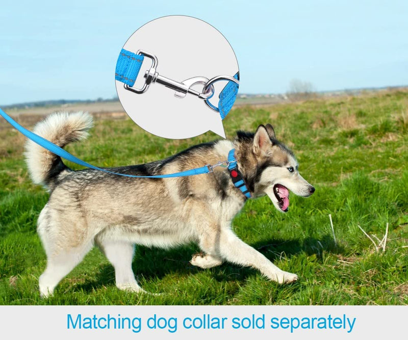 Taglory Dog Leash for Small Dogs | Double-Sided Reflective | Soft Neoprene Padded Handle | 3/4 inch by 5ft | Fit Small Medium Large Breeds Dogs Under 20lbs | Sky Blue 3/4 in x 5 ft (Pack of 1) - PawsPlanet Australia