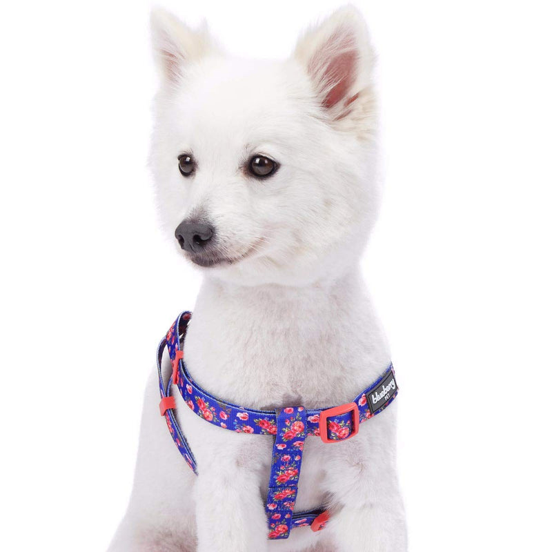 Blueberry Pet 9 Patterns Step-in Spring Scent Inspired Rose Print Irish Blue Dog Harness, Chest Girth 16.5" - 21.5", Small, Adjustable Harnesses for Dogs - PawsPlanet Australia