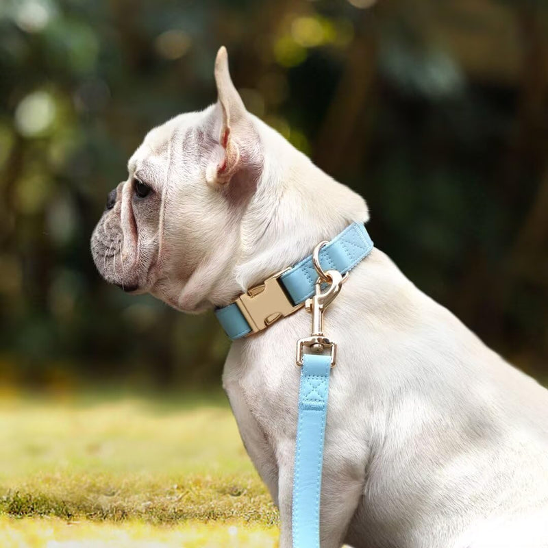 PET ARTIST Soft PU Leather Dog Collar and Leash Set, Bright & Stylish 5FT PU Leather Leash and Collar Set, Durable Pet Collars with Quick Release Metal Buckle for Medium Dogs,Blue,M(13-19") M: Fit 13-19" Neck Blue - PawsPlanet Australia