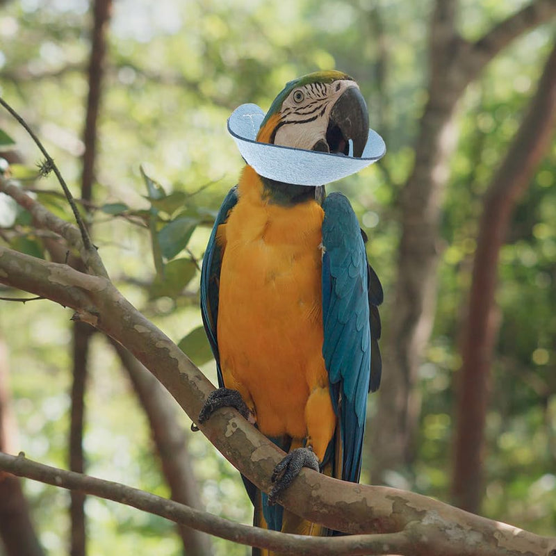 VANZACK Bird Cone Collar Adjustable Bird Parrot Tapered Collar Parrot Recovery Cones Neck Quaker Leather Bird Neck Protector Parrot Feather Protection Collar Sky-Blue - PawsPlanet Australia