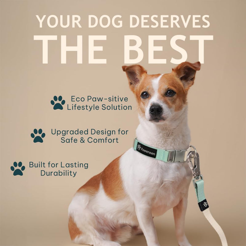 Dog Leash, Eco-Friendly Recycled Polyester Webbing | Soft Hypoallergenic, Durable Metal Swivel Hook, Collar Attachable, 5.2 ft Length| Size S, Peach Creme - PawsPlanet Australia