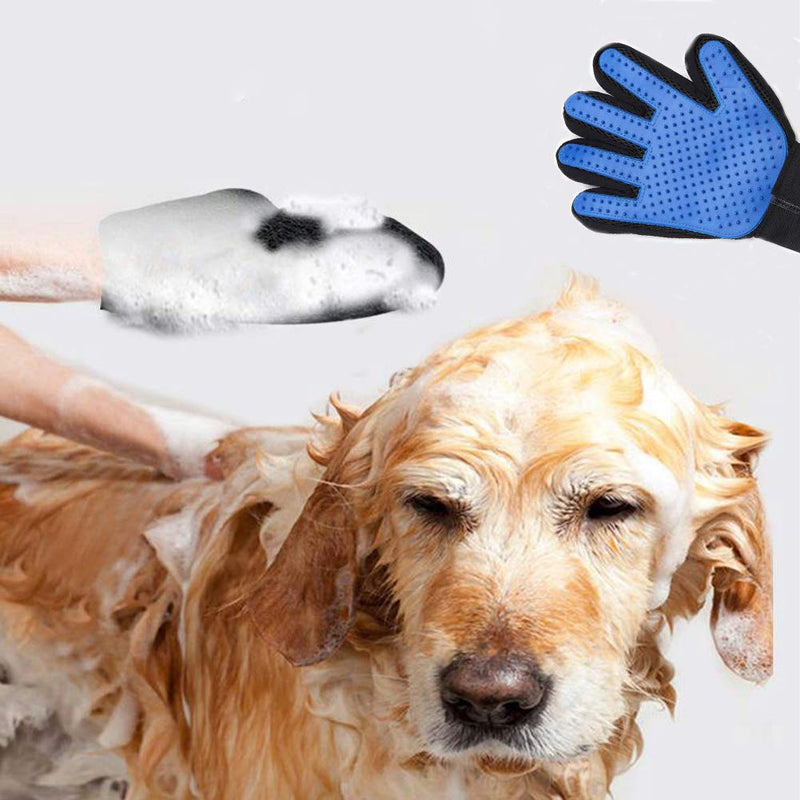 DASHH Glove + Brush for Dogs and Cats, Comb and Self-Cleaning Grooming for Pets, Removing Excess and Dead Animal Hair.