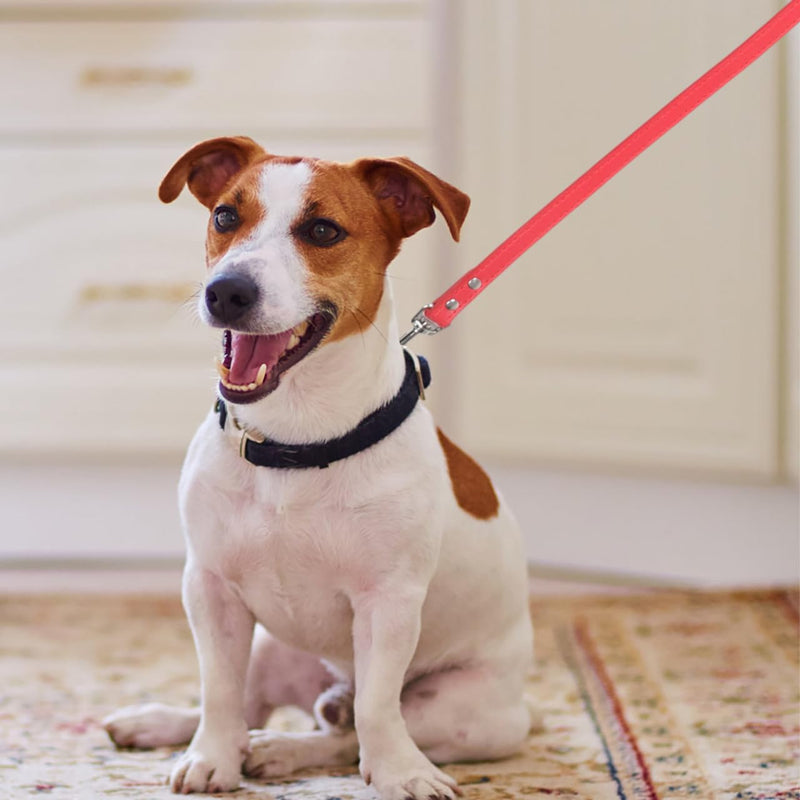 balacoo Red Rhinestone Dog Leash for Small Dogs Pu Leather Training Walking Jogging Outdoor Use Sparkly Studded Pet Leash - PawsPlanet Australia