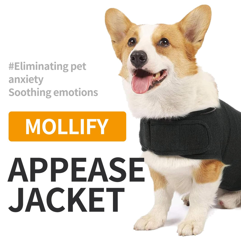 Skin-Friendly Dog Calming Shirt,for Thunderstorm,Travel, Fireworks,Vet Visits,Comfort Dog Anxiety Relief Coat,Keep Pet Calm,Separation Anxiety Relief for Dogs (Dark Gray, Large) Dark Gray - PawsPlanet Australia