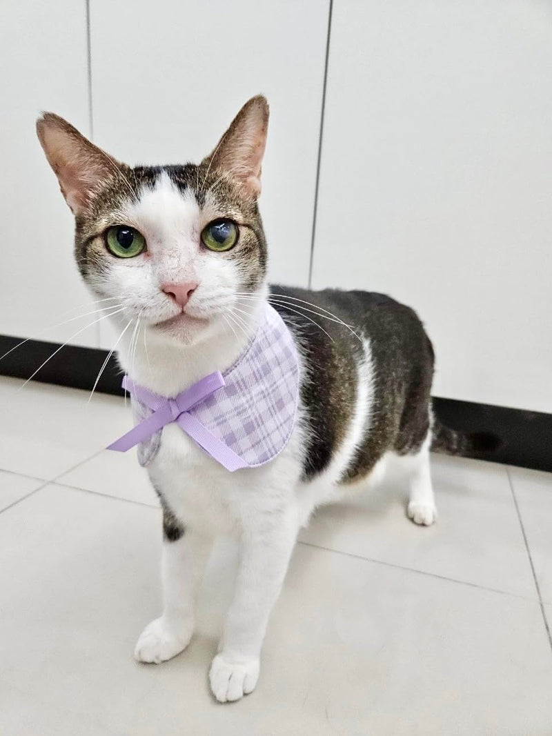 Plaid Dog Bandana with Ribbon Bowknot, Soft and Durable Polyester Pet Scarf, 7 Sizes for Cats and Dogs, Adjustable Triple-Snap Closure (Purple, Small) Purple - PawsPlanet Australia