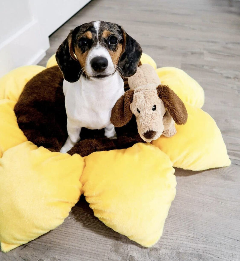 TONBO Soft Plush Small Cute and Cozy Nature Dog Cat Bed, Washer and Dryer Friendly (Sunflower) Sunflower - PawsPlanet Australia