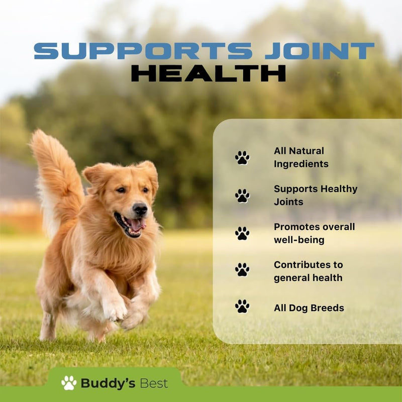 Dog Pain Relief Liquid - Natural, Fast-Acting Formula for Joint Pain and Inflammation, Made with Organic Ingredients, Safe for All Breeds - PawsPlanet Australia
