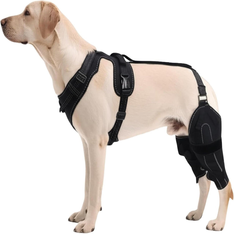 Dog Knee Brace for Hind twoLeg Support - Adjustable Hock Joint Wrap for ACL Ligament Injuries, Luxating Patella, and Arthritis Pain Relief, Best Recovery Sleeve for Injury Legs Dogs (Medium) Medium