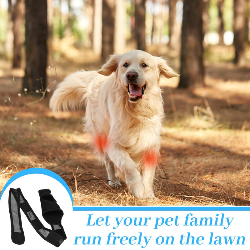 EIHI Knee Support Dog Rear Leg for Left Leg - Made of Neoprene, for Cruciate Ligament Tear, Ligament Injuries, Patella Luxation or Osteoarthritis - Size M