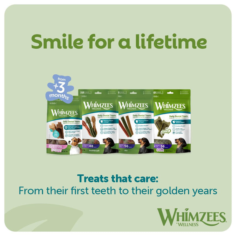 WHIMZEES Toothbrush XS, 48 Pieces – Dog Dental Stix, Size XS, Dog Dental Sticks for Extra Small Breeds, Natural and Grain Free, Rawhide-Free, Vegetarian, No Added Sugar Tasteless Toothbrush XS 360 g (Pack of 1)