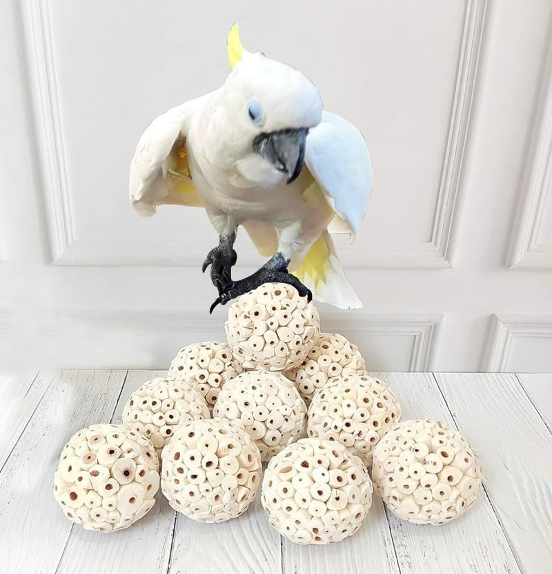 12 Pack big size 2.5" Sola Ataa Bird Toy Interactive and Durable Play Ball Toy for Parrots Cockatiels Pet Birds