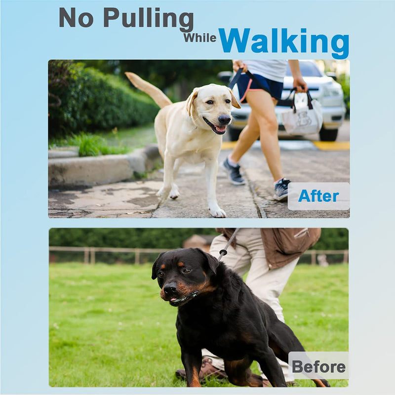 Safiman Classic Prong Training Collar for Dogs, Adjustable Dog Pinch Collar with Quick Release Buckle, No Pull Collar for Small Medium Large Dogs, Extra Link and Caps (M(16-22" Neck, 3.0mm)) M(16-23" Neck, 3.0mm)