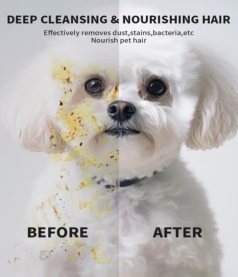 AQUASAFE Pet Bath & Cleaning Gloves for Allergy Prevention & Deodorizing | Thick, Moisturizing Wipes with Aloe & Vitamin E | No Rinse Needed for Daily Care, Travel, Grooming (6PCS) 6PCS - PawsPlanet Australia