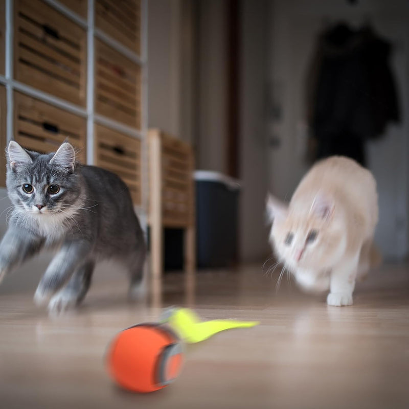 Speedy Tail 2.0, Speedy Tail Cat Toy, 2025 New Generation Interactive Cat Toy, Automatic Moving Cat Toy Ball with Tail, Smart Interactive Cat Toy Ball, Two Speed Adjustment (Orange + Blue) Orange + Blue - PawsPlanet Australia