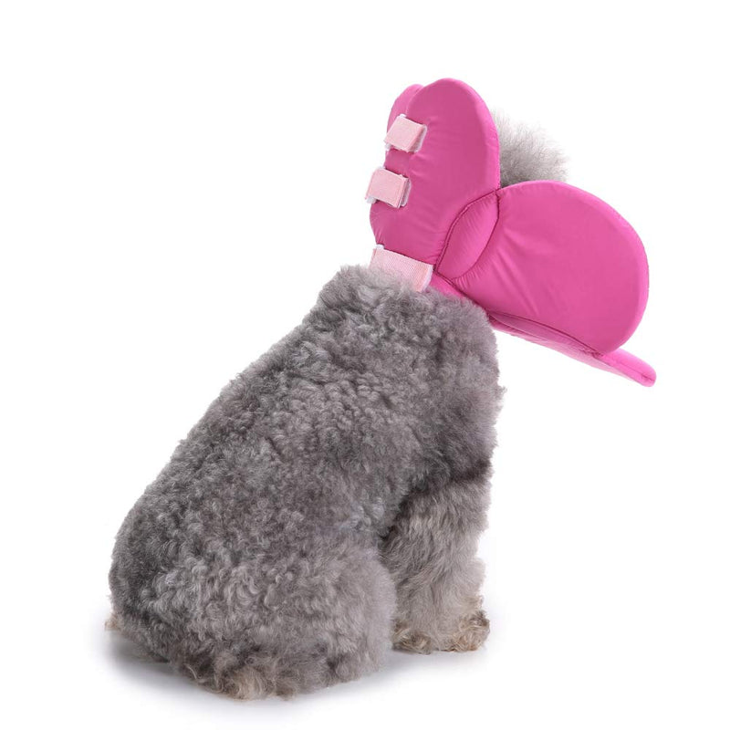 Dog Collar, Pet Cone E-Collar Flower Soft Elizabethan Waterproof Grooming Recovery Protecive Adjustable Collar for Puppy Small Medium Dogs (M Neck: 11-13in, Purple) M Neck:11-13in - PawsPlanet Australia