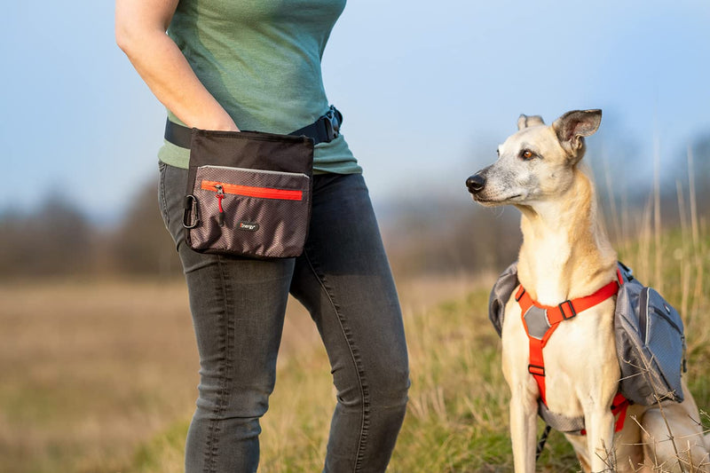 iEnergy™ ELI Belt Pouch: Ideal Dog Training Accessory, Hands-Free Dog Walking Belt with Treat Pouch, Magnetic Closure, Waist Pack for Dog & Horse Owners - Perfect Dog Hiking Gear (Green) - PawsPlanet Australia