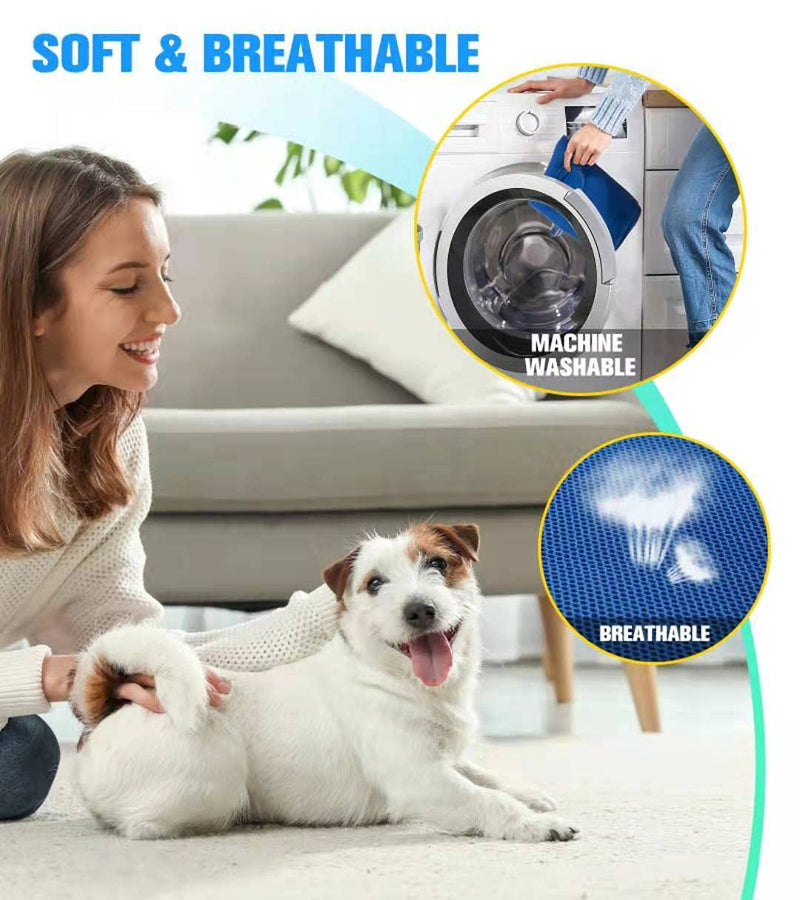10 in 1 Pet Grooming Hammock Harness with Nail Clippers/Trimmer, Grooming Sling for Small Animals Nail Trimming/Clipping For Cat&Dog (XXS/Under 10lb Blue) XXS/under 8lb - PawsPlanet Australia