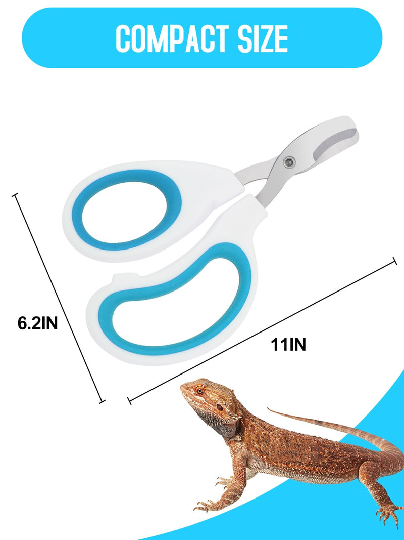 Stainless Steel Bearded Dragon Nail Clippers,Lizard Nail Clippers,Bearded Dragon Supplies,Bearded Dragon Nail Scissors for Small Reptiles,Turtle,Chameleon,Iguana?Hedgehog?Blue? Blue