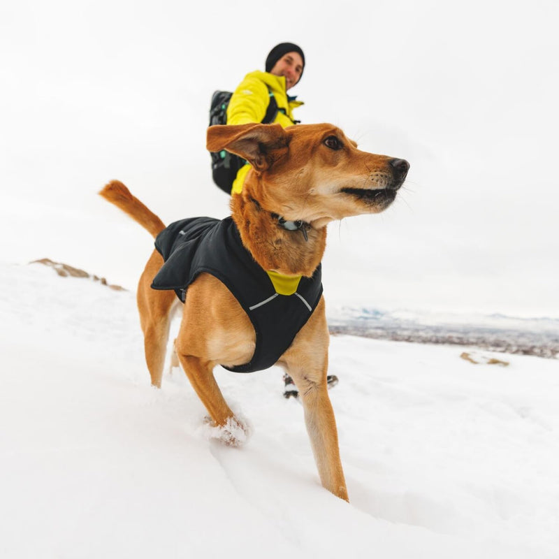 Ruffwear, Quinzee Dog Winter Jacket, Insulated Packable Puffer Vest with Leash Portal, Reflective Trim & Weather‑Resistant Shell, Adjustable Fit Coat, Harness Compatible, Pink, X-Large