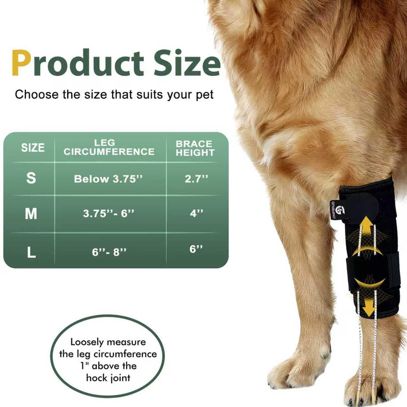 Dog Front Leg Support Brace for Foot Drop, Canine Knuckling Prevention, Toe Dragging Assistance L