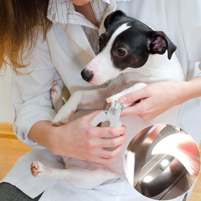 Pet Nail Clipper with LED Light for Dogs & Cats, Rechargeable Nails & Claws Trimmer Grooming, Safe Professional Trimming Tool with Nail Trapper & Free Nail File, Quick-Sensor Razor Sharp Blades White With Led Light - PawsPlanet Australia