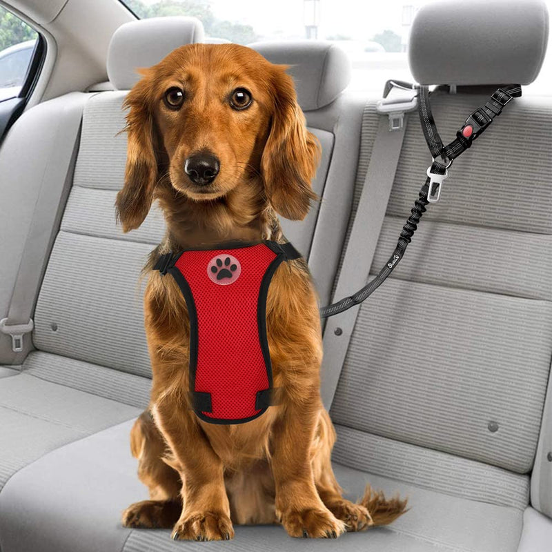 SlowTon Dog Seat Belt for Car, 2 Pack Dog Car Harness Seatbelt Adjustable with Elastic Bungee Buffer, 2 in 1 Pet Car Leash Headrest Restraint Dog Reflective Safety Tether (Black, Headrest+Clip) A.Black Headrest + Clip (Dual Restraint) - PawsPlanet Australia