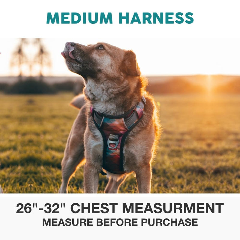 Embark Adventure No Pull Dog Harness, Reflective Trim No Pull Harness for Medium Sized Dog - Military Grade Nylon, Front Clip with Gel Lined Handle. Soft & Padded Puppy M Aurora - PawsPlanet Australia