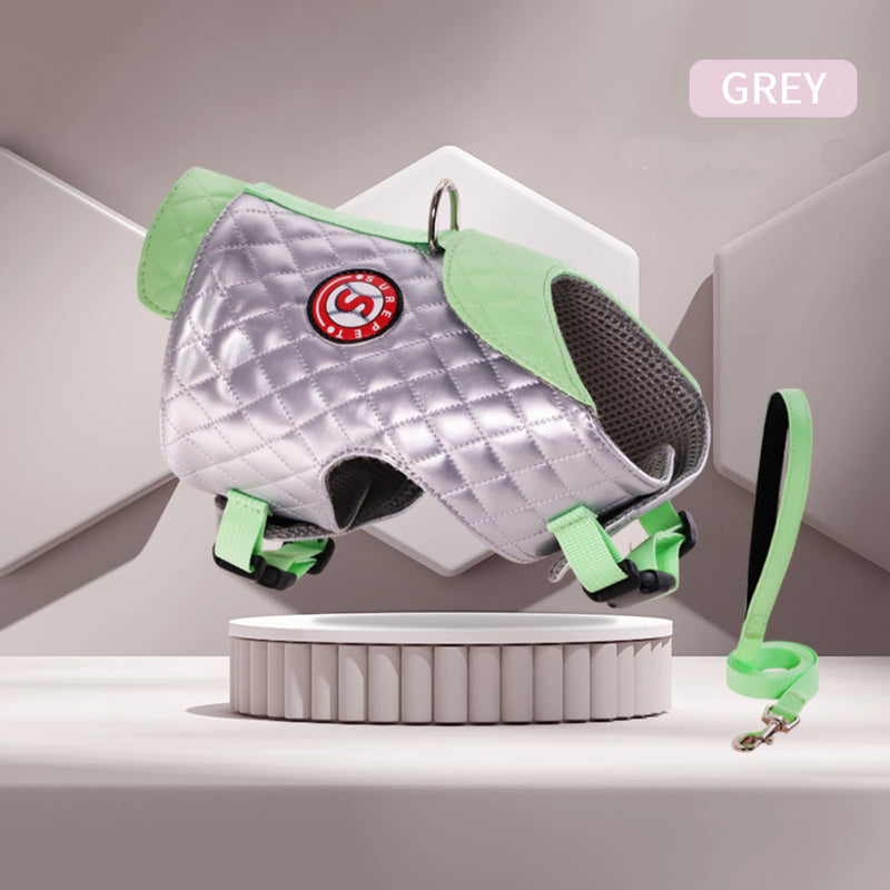 Dog Harness for Small Medium Dogs, No Pull Adjustable Puppy Harness and Leash Set Waterproof & Dirt-Resistant, Breathable Padded Vest Harness for Puppy Grey - PawsPlanet Australia