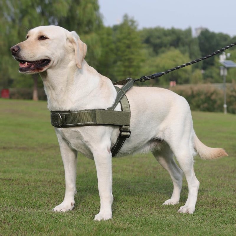 Heavy Duty Dog Harness Medium Sized Dog Adjustable Reflective Tactical Harness with Soft Padded Handl, Front Clip for Escape Proof and Easy Walking and Training, Green, M - PawsPlanet Australia