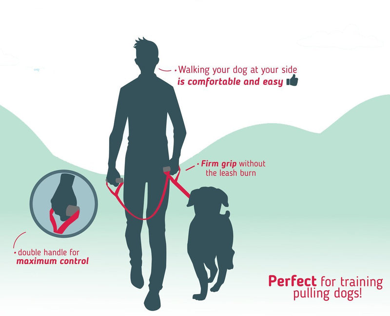 Leash Boss Original - Heavy Duty Dog Leash for Large Dogs - No Pull Double Handle Training Lead for Walking Big Dogs - Dog Leashes with Padded Handle for Control and Safety (Blue) Blue - PawsPlanet Australia