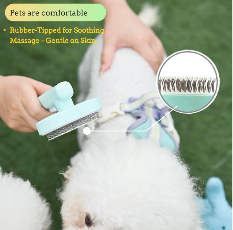 Self cleaning hair removal brush - a skin friendly beauty tool suitable for dogs, cats, and puppies, with a round head design that prevents scratches and is green in color - PawsPlanet Australia