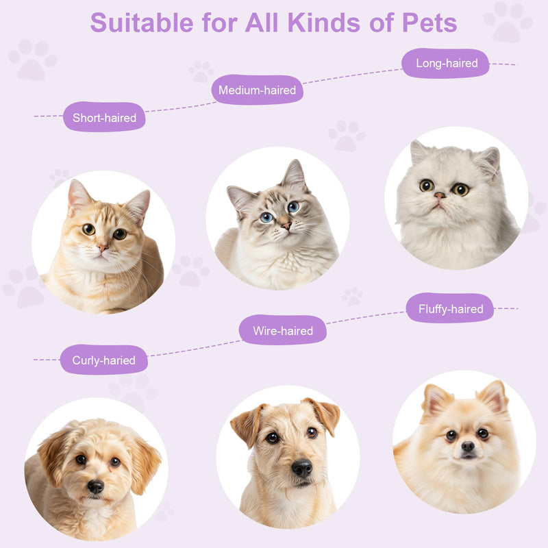 Rechargeable Cat Steam Brush with Mist Spray, 3-in-1 Pet Steam Brush for Long and Short Haired Cats and Small Dogs, Anti-Static, De-Shedding, Detangling, Massage, Purple Cat Design - PawsPlanet Australia
